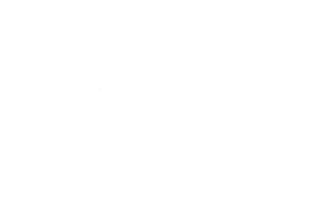 Schill Logo